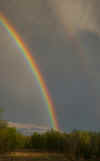 rainbow right.jpg (98371 bytes)