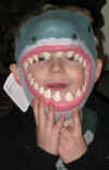 shark mask 2.jpg (56365 bytes)