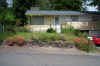 House - in bloom.jpg (256714 bytes)