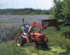Jun 05 Steve mowing 2.jpg (100615 bytes)
