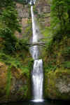 Multnomah 1.jpg (323437 bytes)