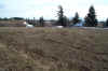 NW quad looking to barn.jpg (252810 bytes)
