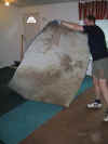 carpet prep 2.jpg (79946 bytes)