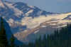 GlacierNP_2006_041.jpg (243755 bytes)