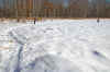 Snowshoe 31-Jan-10 3.JPG (187619 bytes)