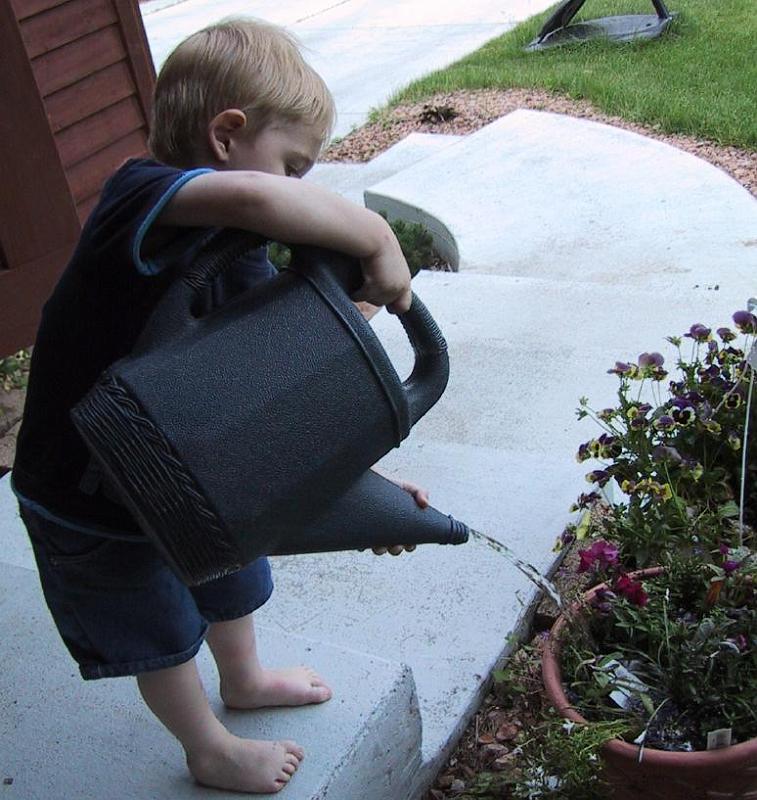 watering.jpg