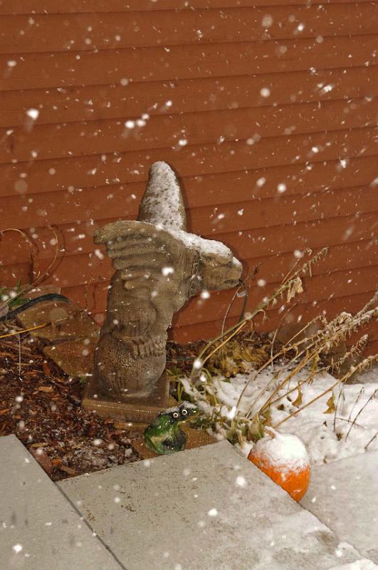 13-Nov-2010_Snow_4.JPG