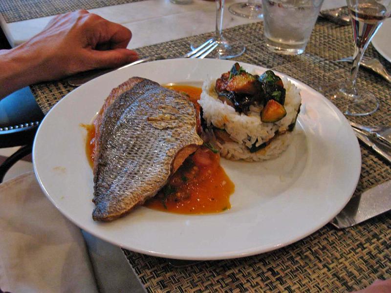 Petit_Troquet_09.JPG