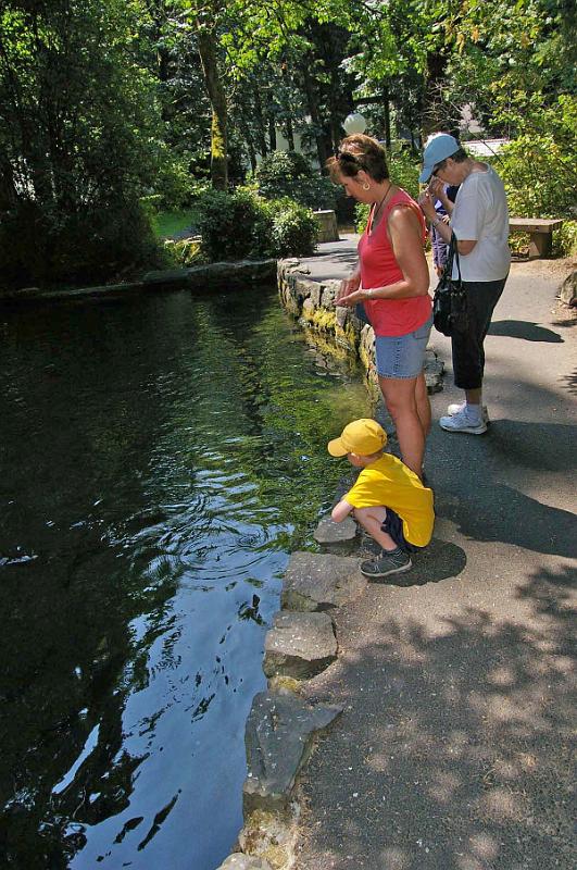 Fish_Ponds_02.JPG