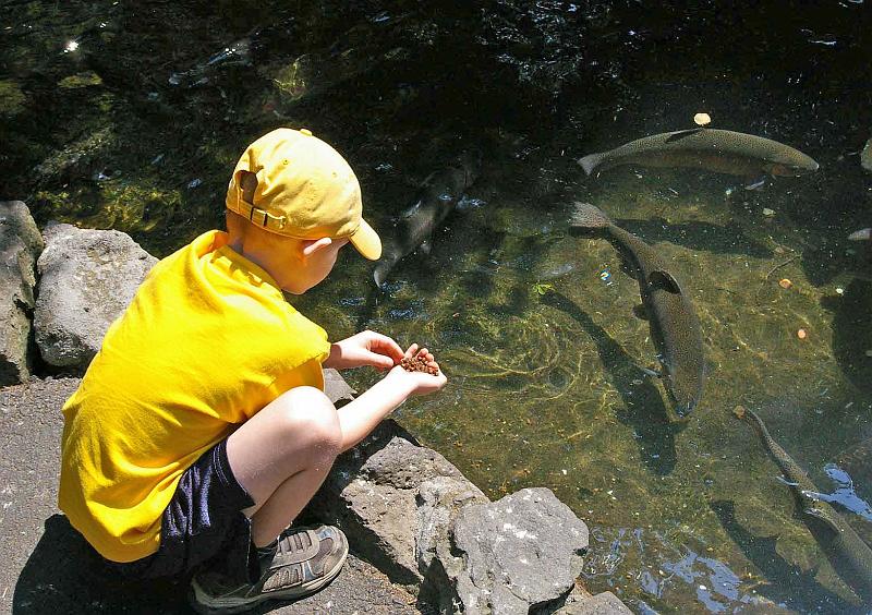 Fish_Ponds_04.JPG