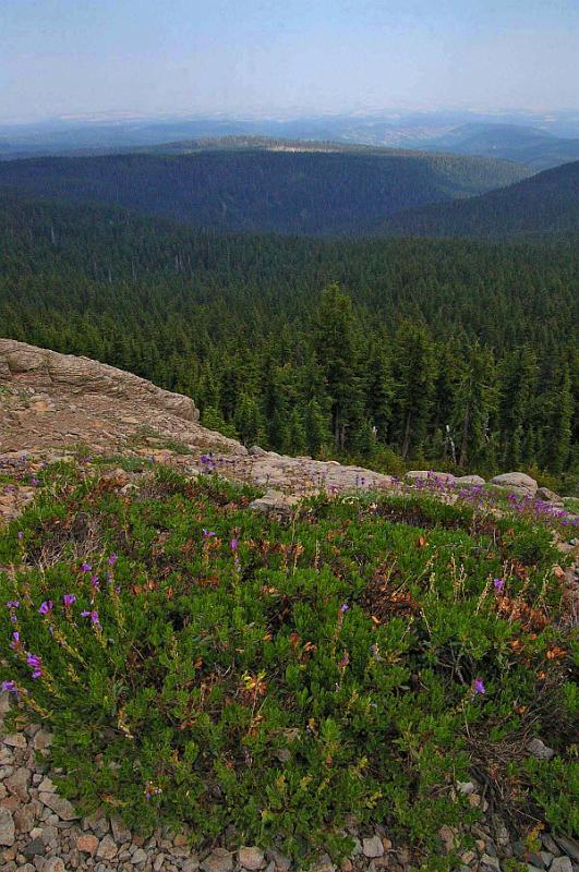 Lookout_Mtn_06.JPG