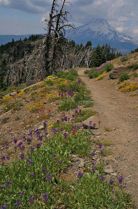 Lookout_Mtn_09.JPG