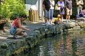Fish_Ponds_01