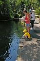 Fish_Ponds_02