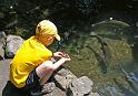 Fish_Ponds_04