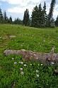 Lookout_Mtn_01