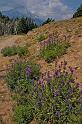 Lookout_Mtn_10