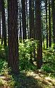 Penn_Hike_03