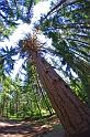 Penn_Hike_06