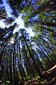 Penn_Hike_07