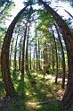Penn_Hike_08
