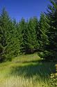 Penn_Hike_09
