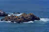 1953-11 SanFrancisco 299 Seal Rock.jpg (204017 bytes)