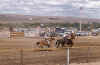 1953-54 Soap Lake Rodeo 364.jpg (284288 bytes)