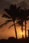 RWT 0005 T08-07 Hawaii Sunset.jpg (437332 bytes)