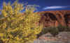 RWT 0088 093-09 Australia Ayers 2.jpg (975236 bytes)