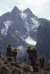 RWT 0204 221-25 Kenya Diamond Glacier.jpg (553229 bytes)