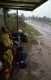 RWT 0216 244-04 Denmark Rain.jpg (612700 bytes)