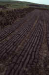 RWT 0328 344-36 Ireland Peat.jpg (726284 bytes)