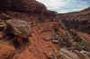 2001-04 Utah Trip 028 Canyon on Cedar Mesa.jpg (226958 bytes)