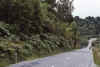 WT 0200 042-16 New Zealand.jpg (217760 bytes)