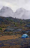 WT 0597 Kenya Mt Kenya Camp.jpg (306570 bytes)